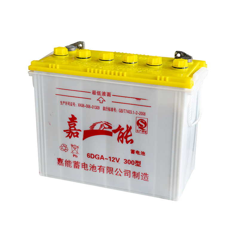 Lead-Acid Batteries 300